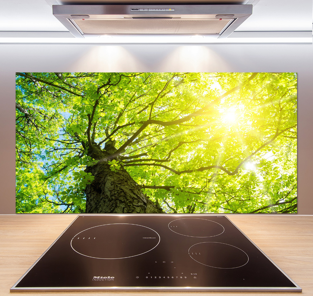 Kitchen splashback Chestnut in spring