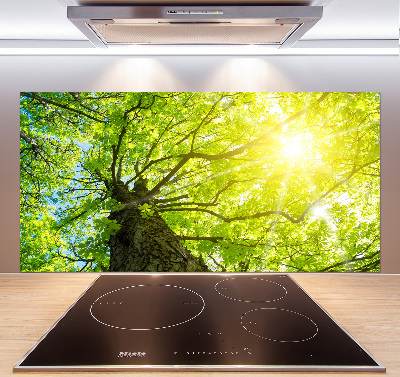 Kitchen splashback Chestnut in spring