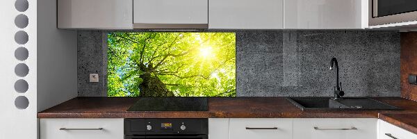 Kitchen splashback Chestnut in spring