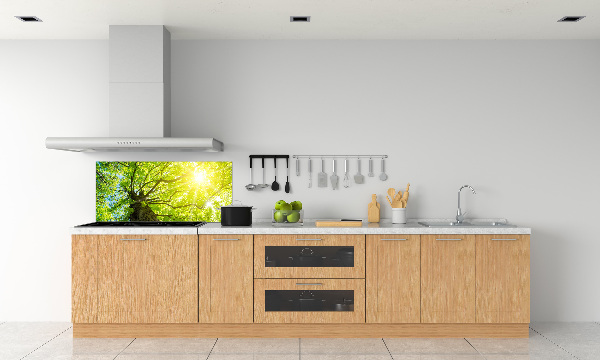 Kitchen splashback Chestnut in spring