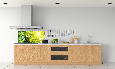 Kitchen splashback Chestnut in spring