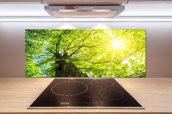 Kitchen splashback Chestnut in spring