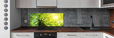 Kitchen splashback Chestnut in spring