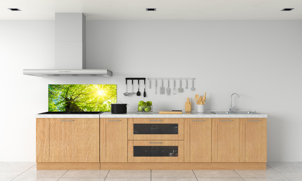 Kitchen splashback Chestnut in spring