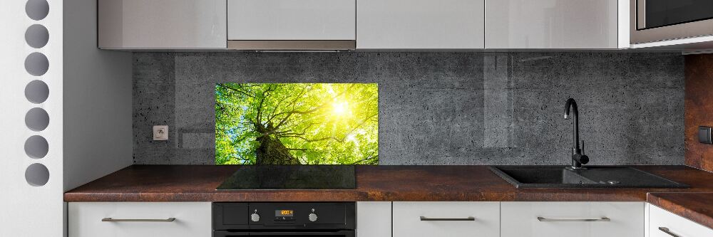 Kitchen splashback Chestnut in spring