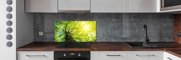 Kitchen splashback Chestnut in spring