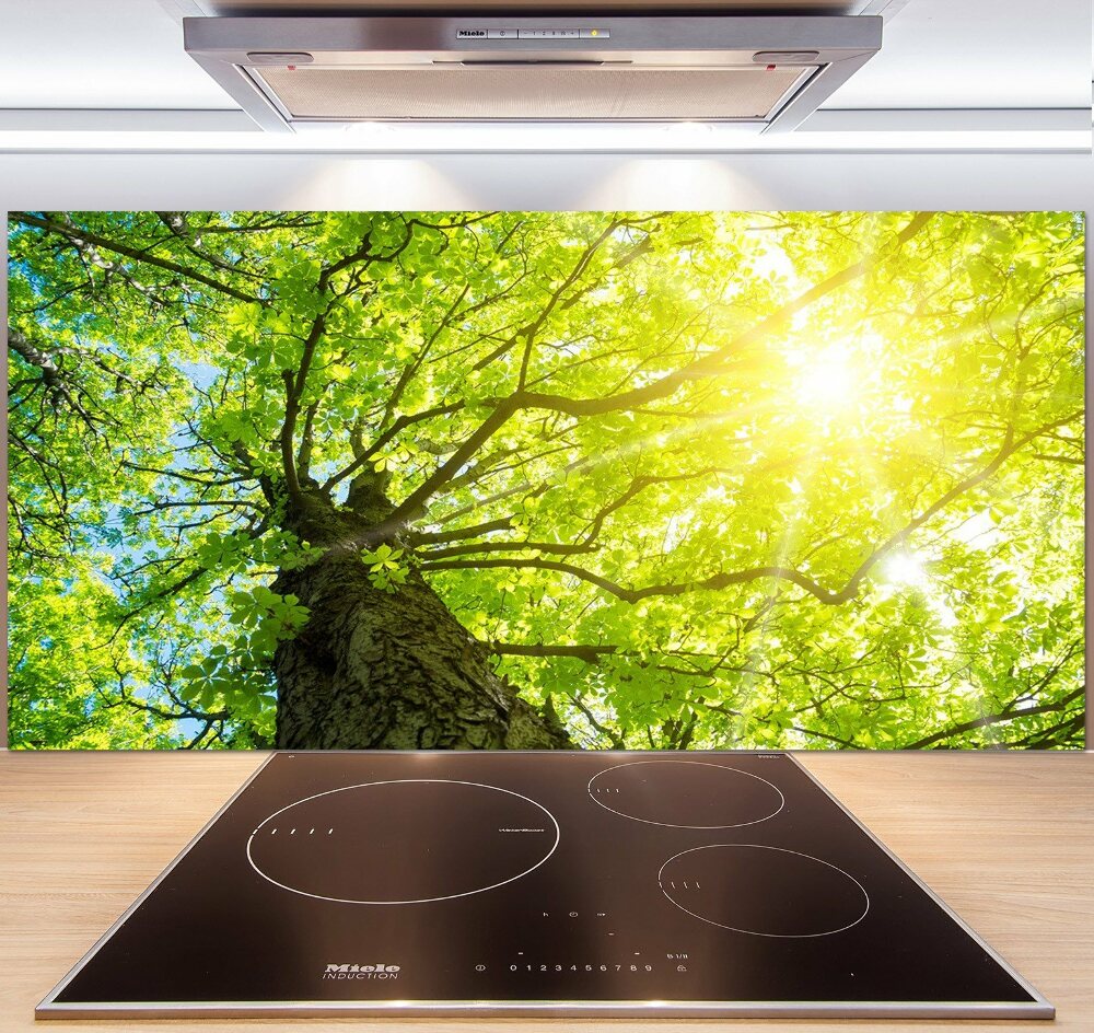 Kitchen splashback Chestnut in spring