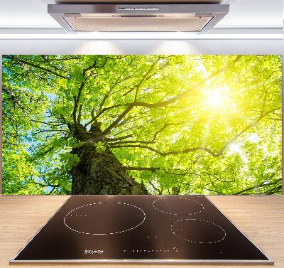 Kitchen splashback Chestnut in spring