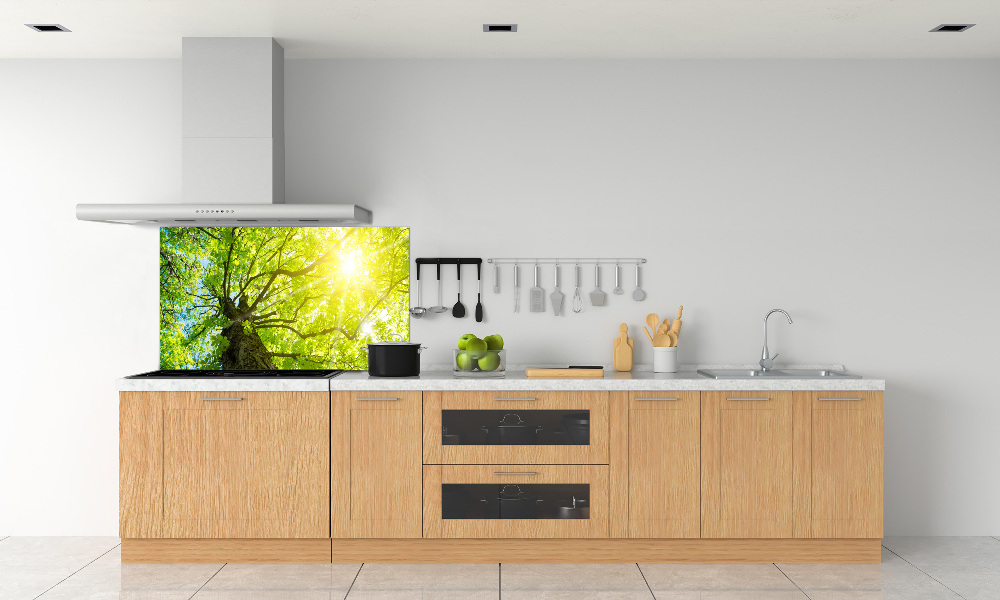 Kitchen splashback Chestnut in spring