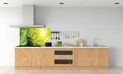 Kitchen splashback Chestnut in spring