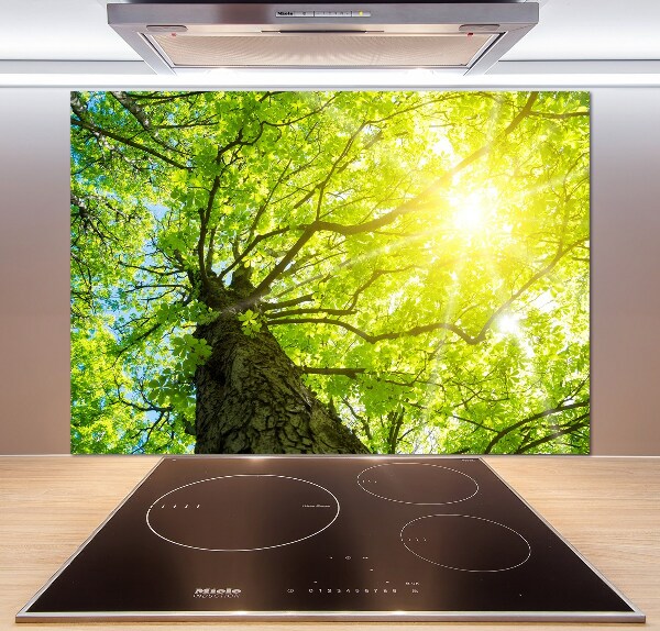 Kitchen splashback Chestnut in spring