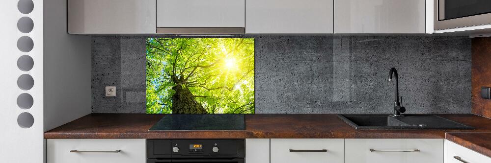 Kitchen splashback Chestnut in spring