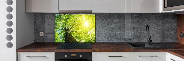 Kitchen splashback Chestnut in spring