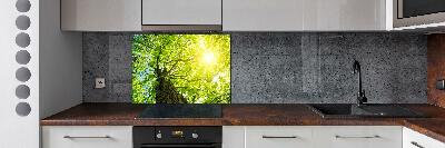 Kitchen splashback Chestnut in spring