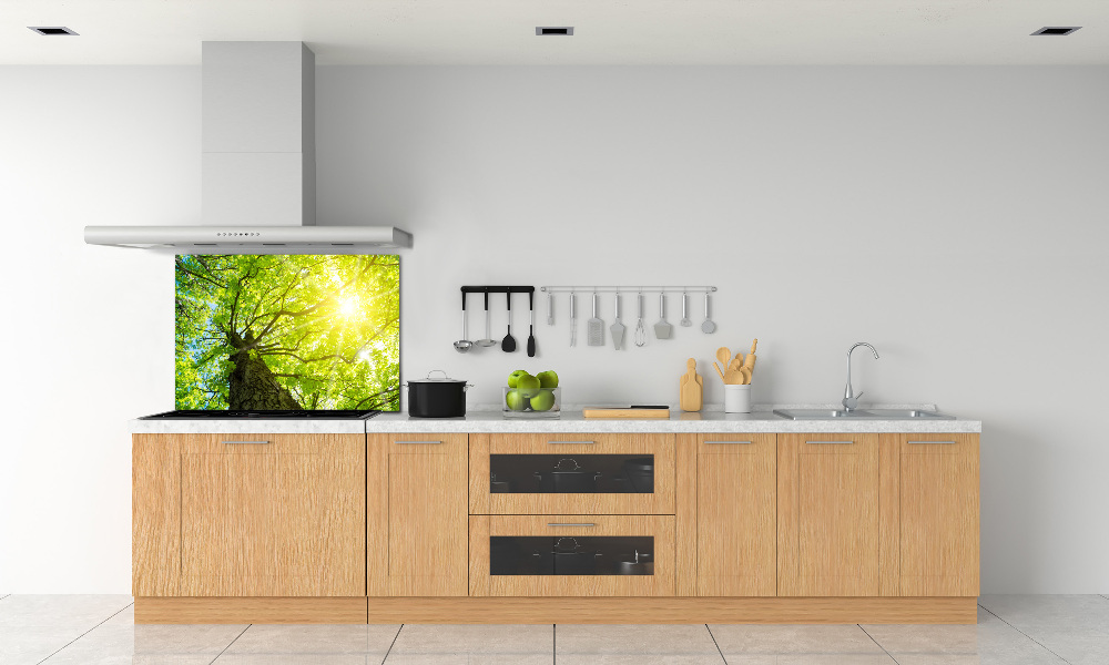 Kitchen splashback Chestnut in spring