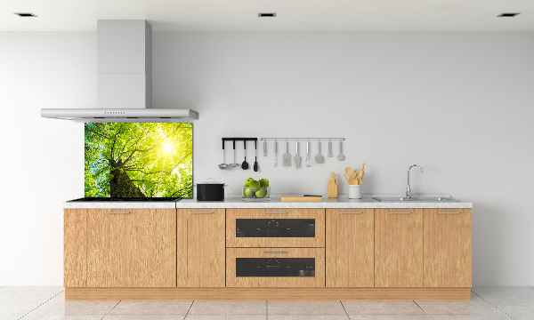 Kitchen splashback Chestnut in spring