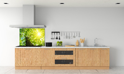 Kitchen splashback Chestnut in spring