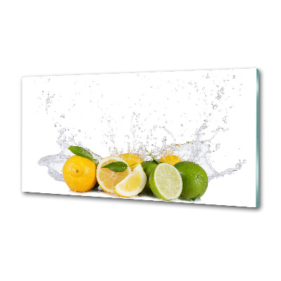 Cooker splashback Citruses and water