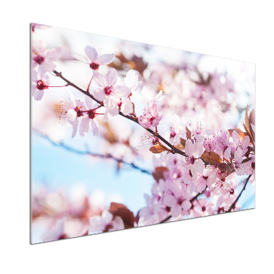 Kitchen wall panels Cherry blossoms