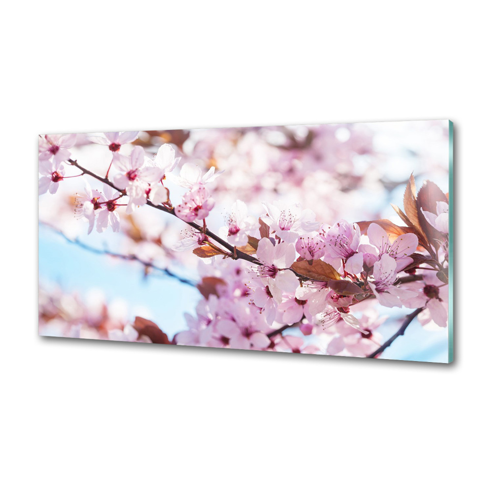 Kitchen wall panels Cherry blossoms