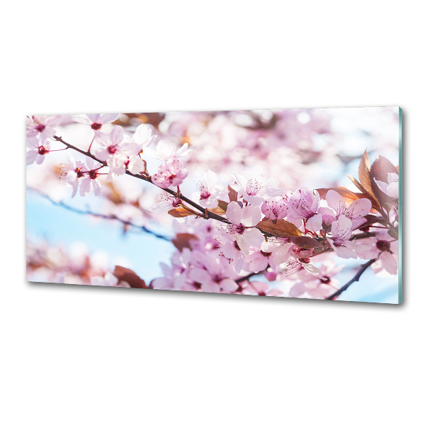 Kitchen wall panels Cherry blossoms