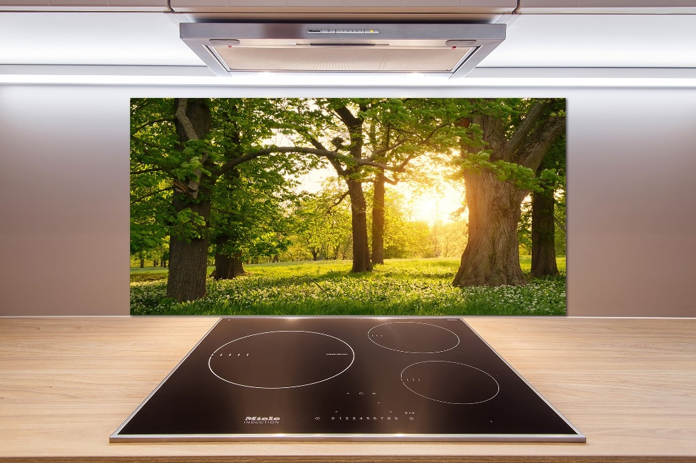 Kitchen wall panels Trees in the park