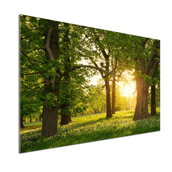 Kitchen wall panels Trees in the park