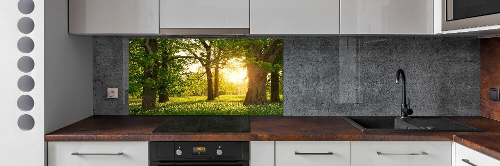 Kitchen wall panels Trees in the park