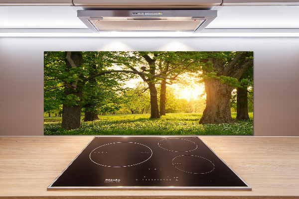 Kitchen wall panels Trees in the park