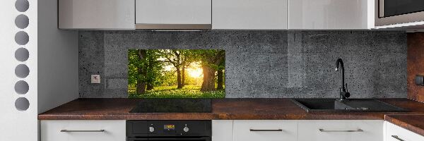 Kitchen wall panels Trees in the park