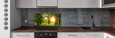 Kitchen wall panels Trees in the park