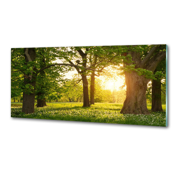 Kitchen wall panels Trees in the park