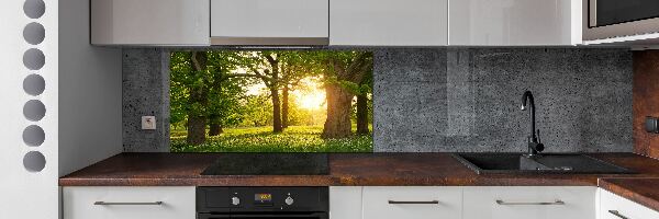 Kitchen wall panels Trees in the park