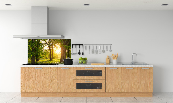 Kitchen wall panels Trees in the park