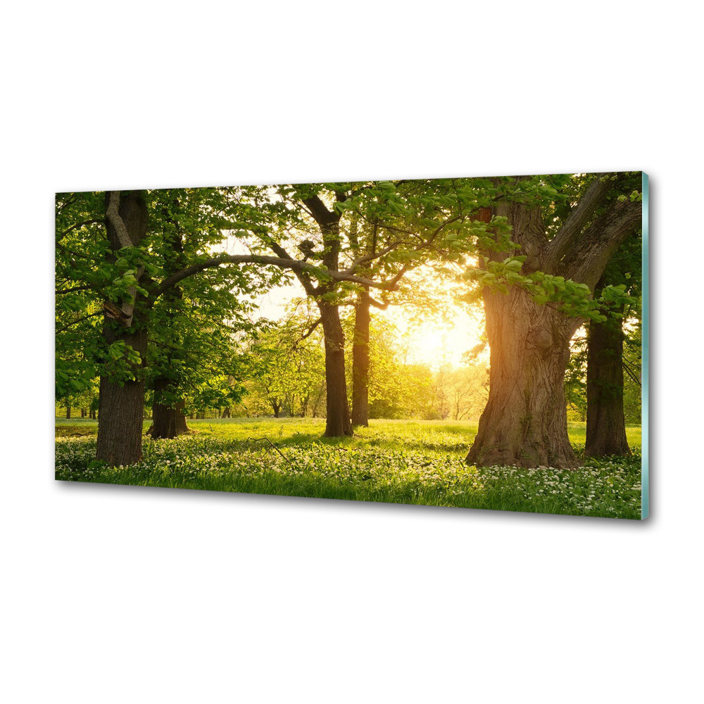 Kitchen wall panels Trees in the park