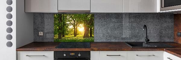 Kitchen wall panels Trees in the park