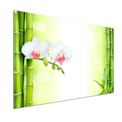 Cooker splashback Orchid and bamboo