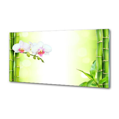 Cooker splashback Orchid and bamboo