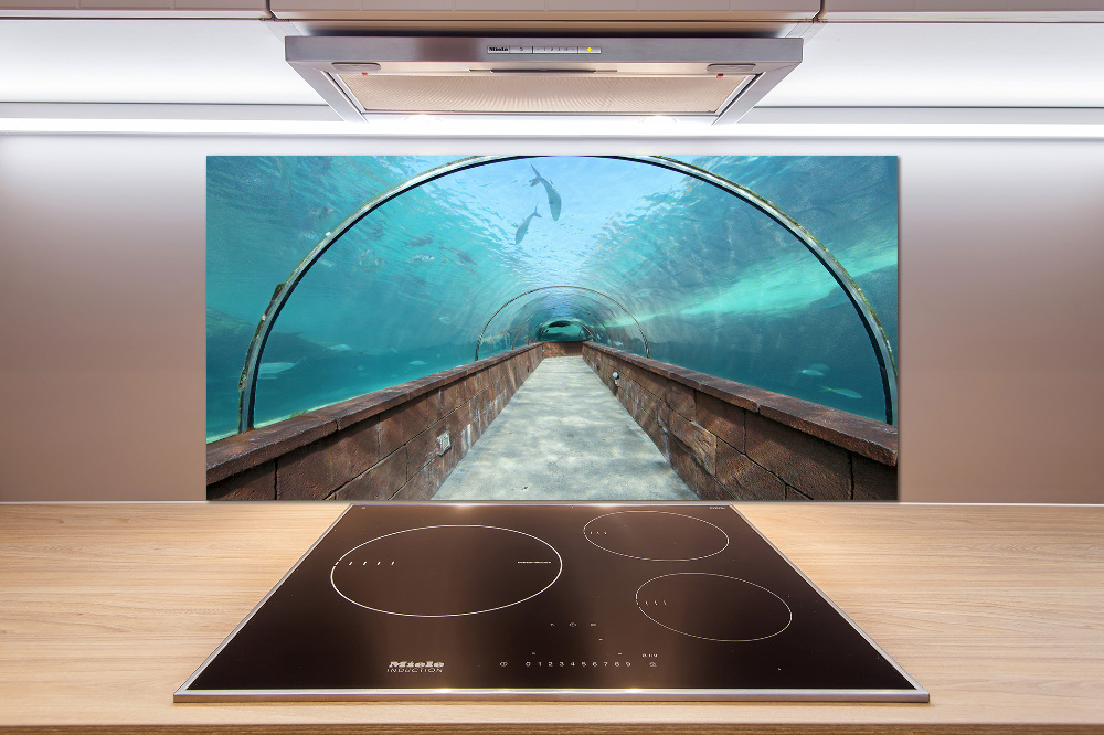 Kitchen wall panels Aquarium tunnel