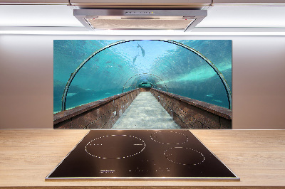 Kitchen wall panels Aquarium tunnel