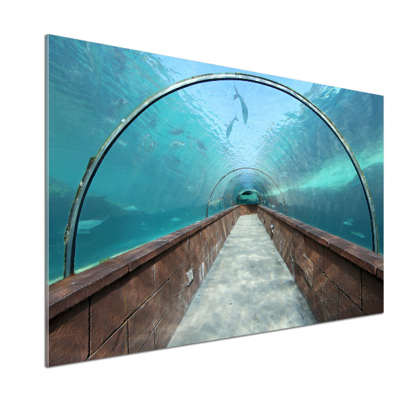 Kitchen wall panels Aquarium tunnel