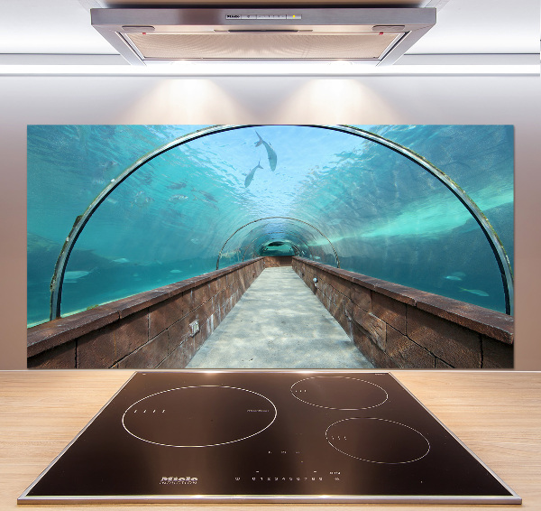 Kitchen wall panels Aquarium tunnel