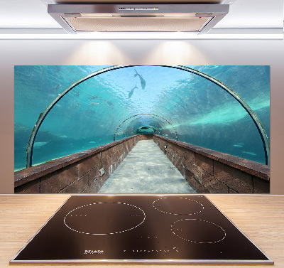 Kitchen wall panels Aquarium tunnel