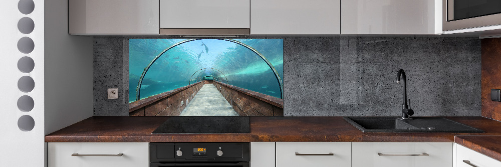 Kitchen wall panels Aquarium tunnel