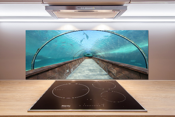 Kitchen wall panels Aquarium tunnel