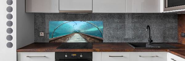 Kitchen wall panels Aquarium tunnel