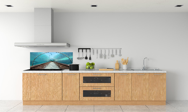 Kitchen wall panels Aquarium tunnel