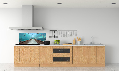 Kitchen wall panels Aquarium tunnel