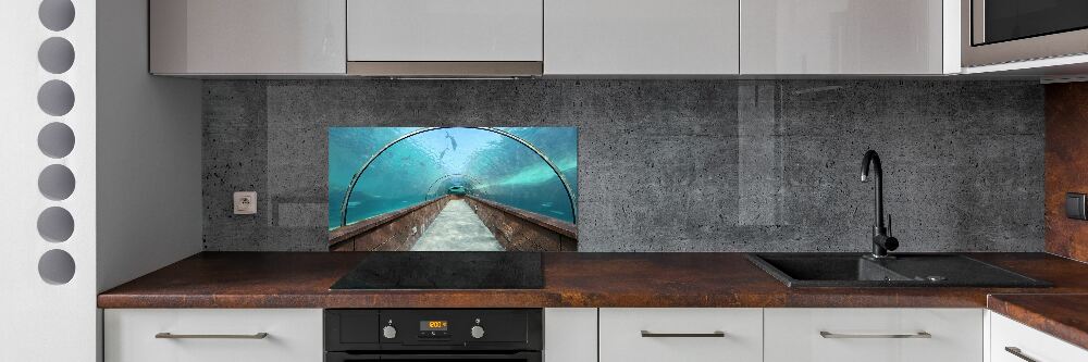 Kitchen wall panels Aquarium tunnel