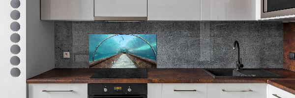 Kitchen wall panels Aquarium tunnel